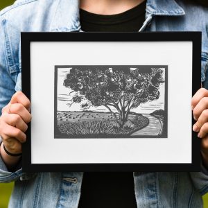 After The Cut | Farm life | Australian Landscape