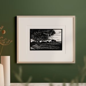 Among the Gums | Barossa Valley | Australian Landscape