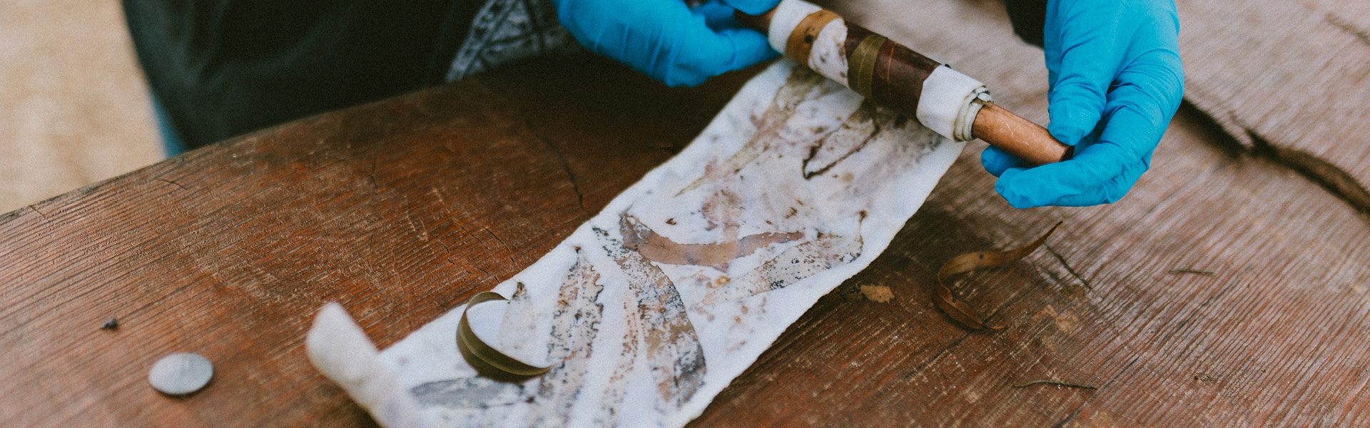 revealing an eco print